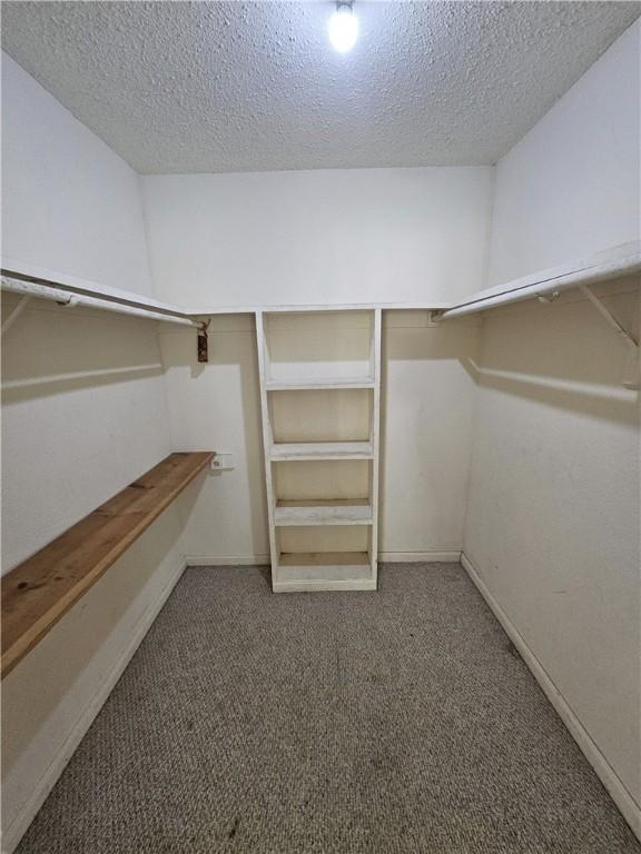 walk in closet with carpet flooring