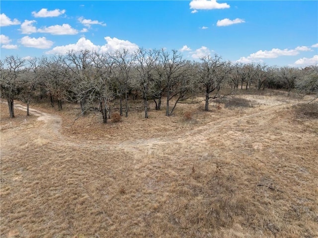 Listing photo 2 for TBD Tokio Road, West TX 76691