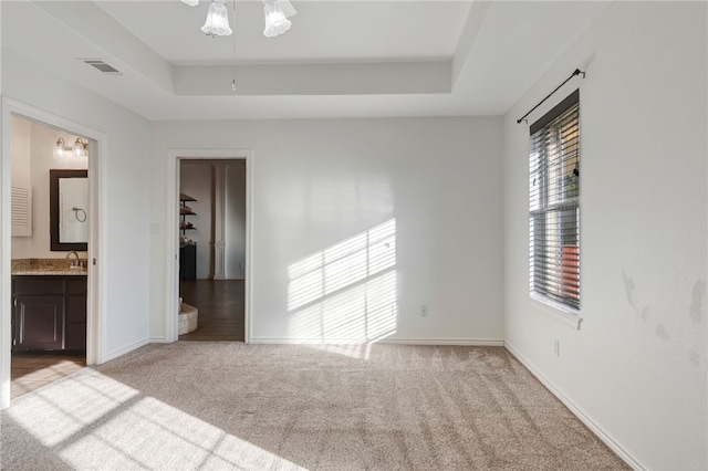 spare room with sink, light carpet, and a tray ceiling