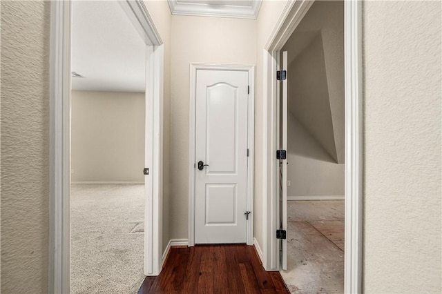 hall featuring crown molding and dark hardwood / wood-style floors