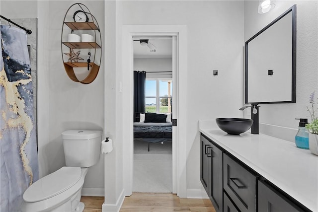 bathroom featuring vanity, toilet, and wood-type flooring