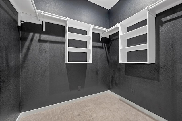 walk in closet with carpet flooring