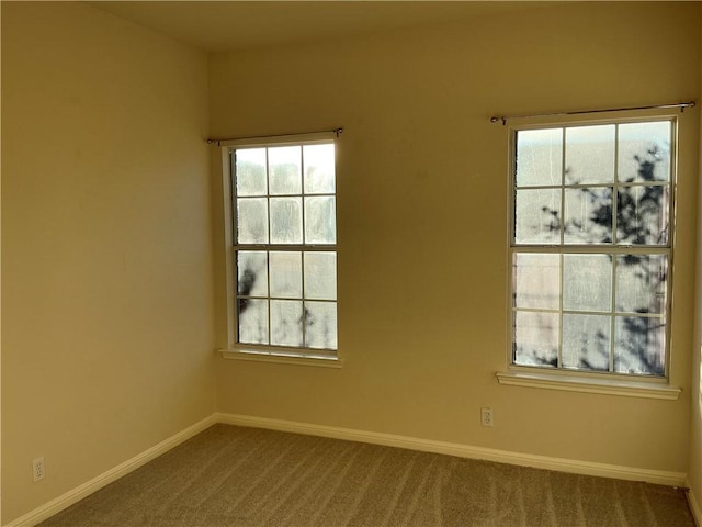 spare room featuring a healthy amount of sunlight and carpet floors