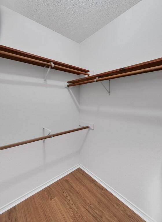 spacious closet featuring hardwood / wood-style flooring