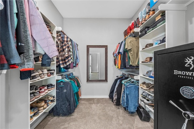 spacious closet with light colored carpet