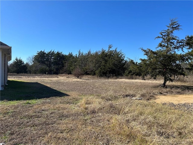 view of yard with a rural view