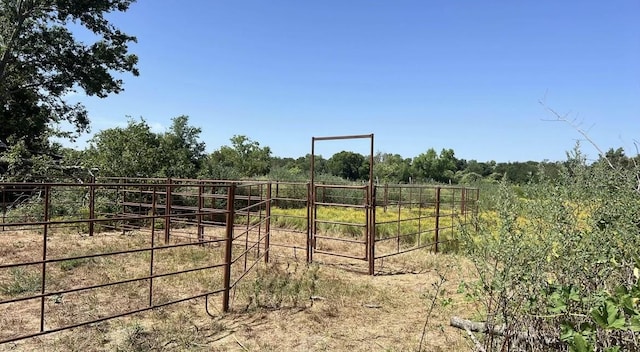 view of yard featuring a rural view