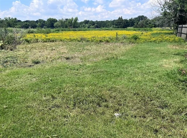 view of yard featuring a rural view