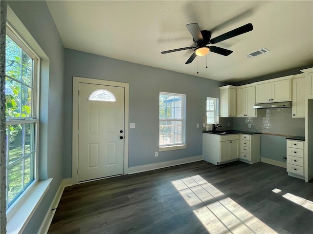 kitchen featuring white cabinets, backsplash, a wealth of natural light, and dark wood-type flooring