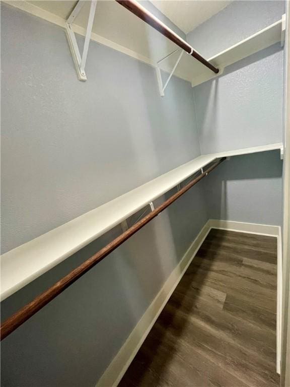 walk in closet featuring dark hardwood / wood-style floors