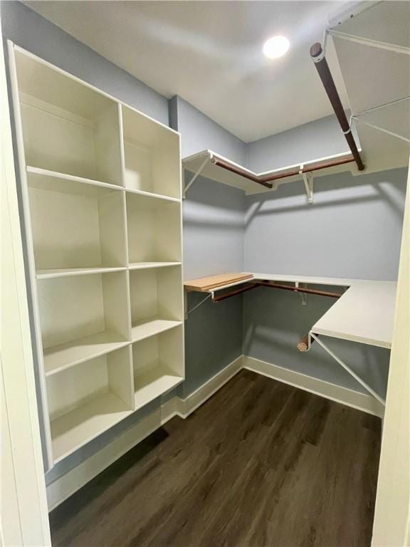 walk in closet with dark hardwood / wood-style flooring