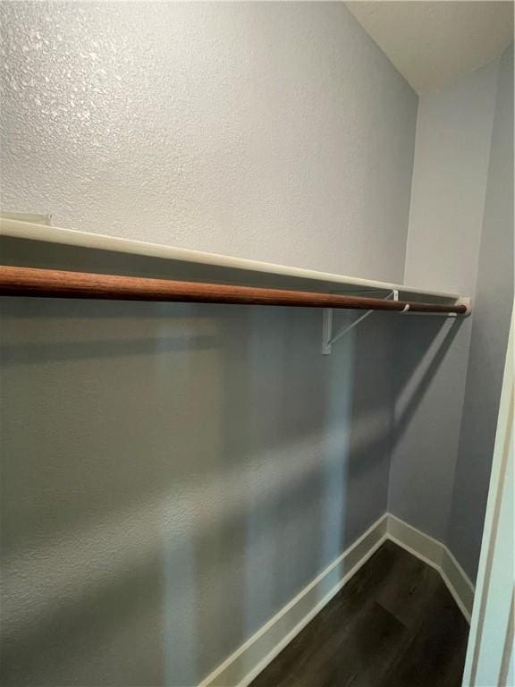 walk in closet featuring hardwood / wood-style flooring