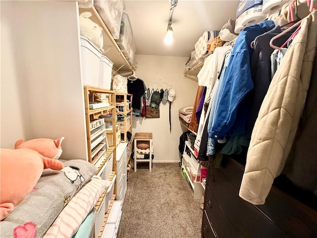 spacious closet with carpet floors