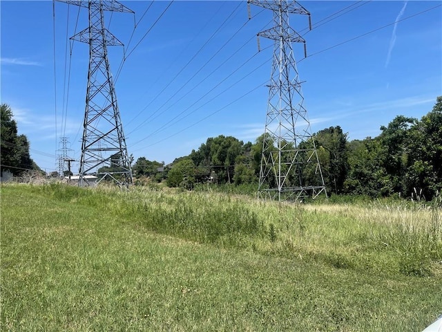 view of local wilderness