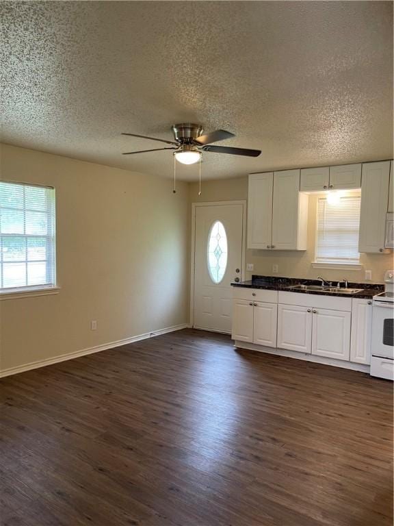 kitchen featuring a wealth of natural light, dark hardwood / wood-style floors, and white range