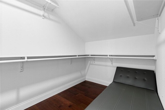 walk in closet featuring dark hardwood / wood-style flooring