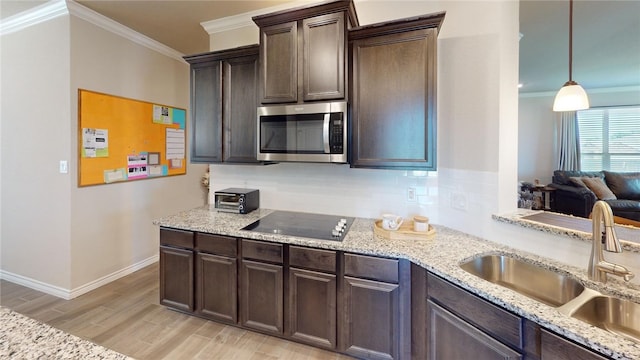 kitchen with dark brown cabinetry, sink, light hardwood / wood-style flooring, crown molding, and black electric cooktop