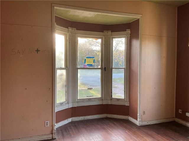 empty room featuring hardwood / wood-style flooring