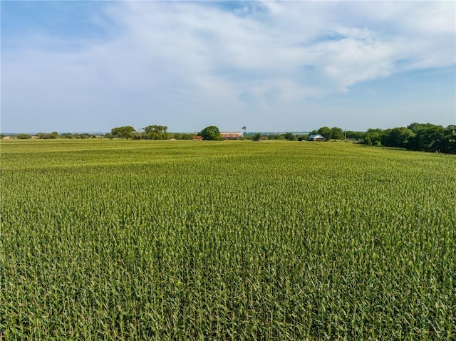 view of local wilderness featuring a rural view