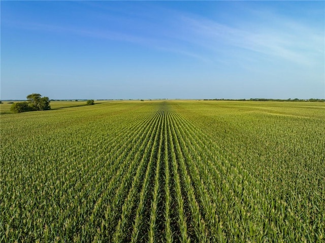 view of yard featuring a rural view