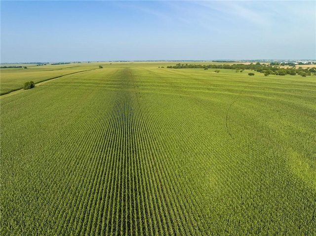 birds eye view of property featuring a rural view