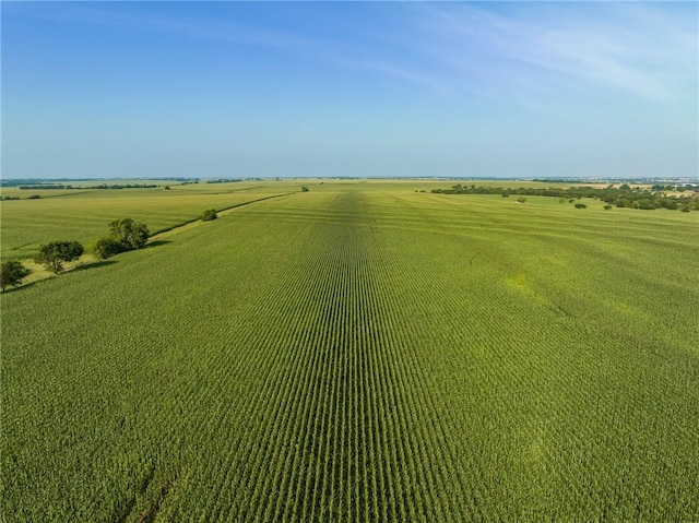 birds eye view of property with a rural view