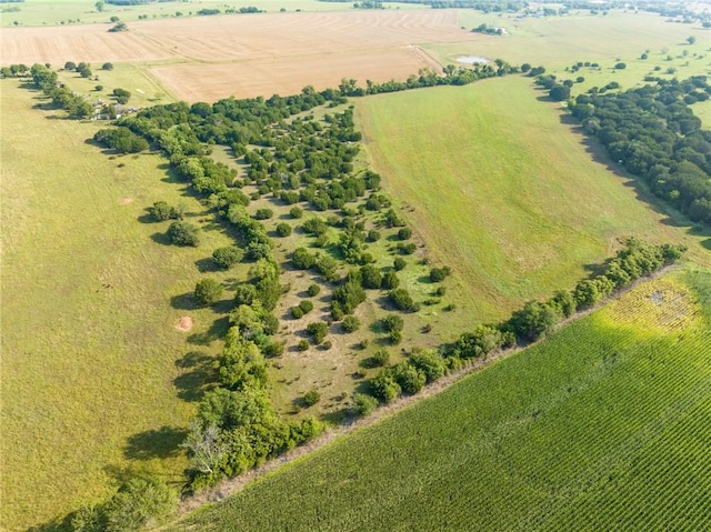 bird's eye view featuring a rural view