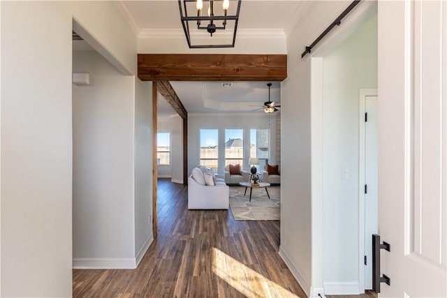 hallway with dark wood-type flooring, ornamental molding, a barn door, and an inviting chandelier