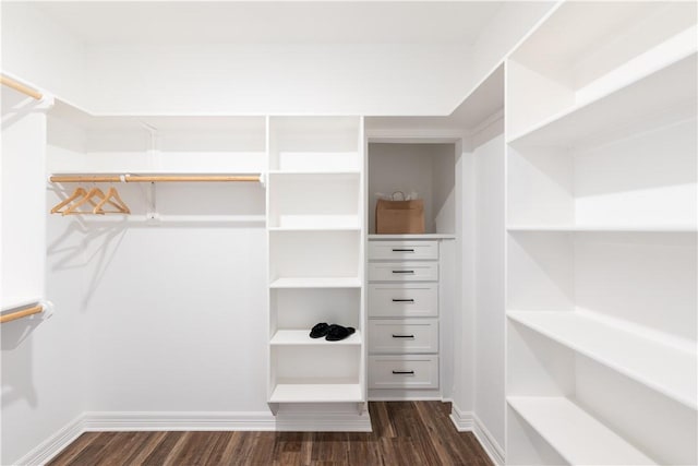 spacious closet with dark hardwood / wood-style flooring