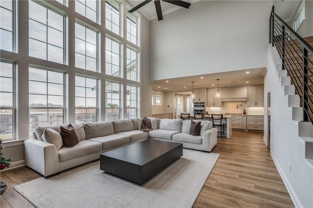 living room with light hardwood / wood-style flooring, a healthy amount of sunlight, and a high ceiling