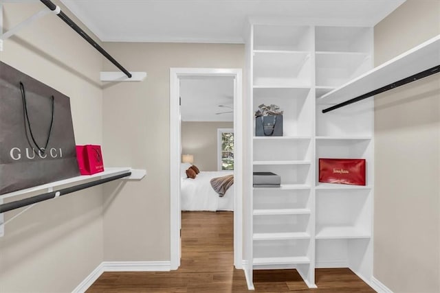 walk in closet with hardwood / wood-style flooring