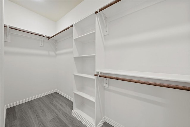 walk in closet with hardwood / wood-style floors