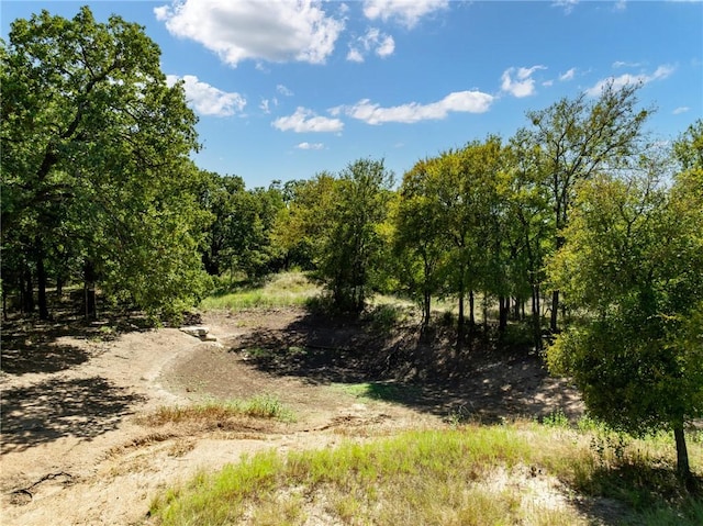 view of local wilderness