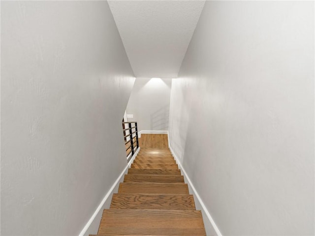 stairway featuring hardwood / wood-style floors