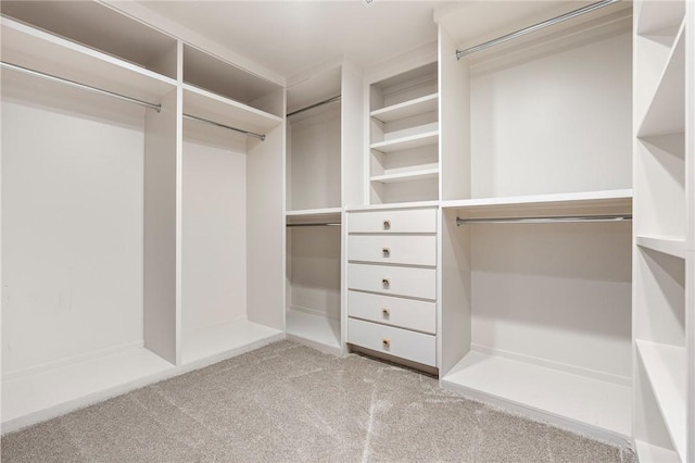 walk in closet with light carpet