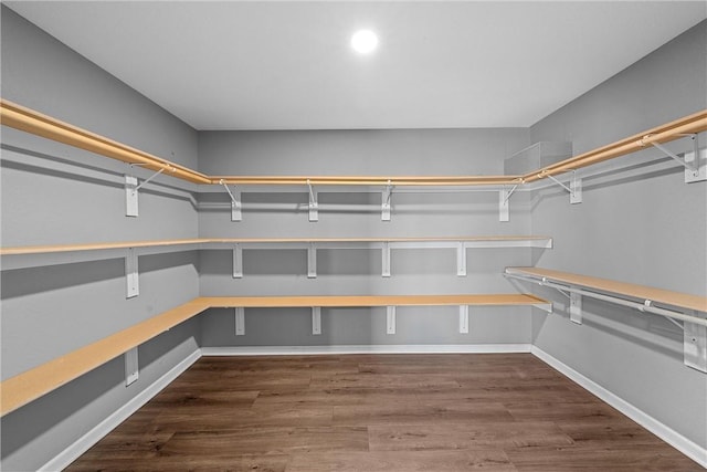 spacious closet featuring dark hardwood / wood-style flooring