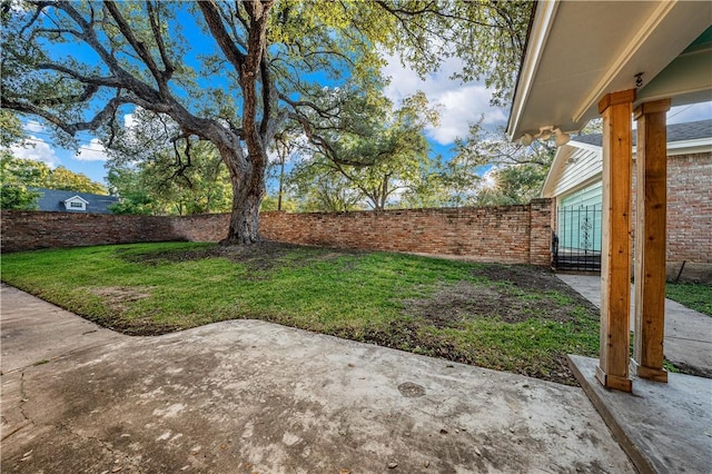 view of yard featuring a patio area