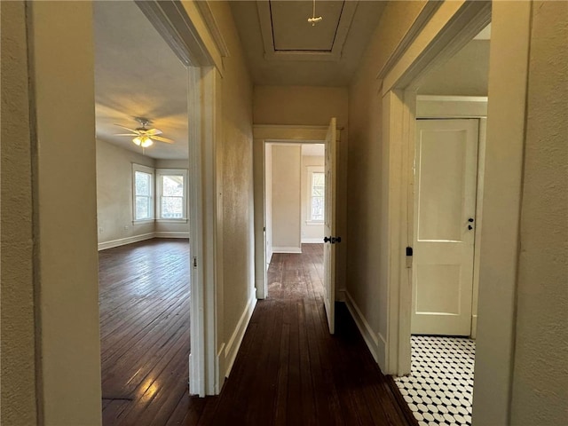 hall featuring dark hardwood / wood-style floors