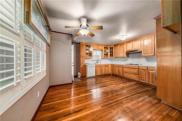 kitchen featuring sink, dishwasher, ceiling fan, gas stovetop, and dark hardwood / wood-style flooring