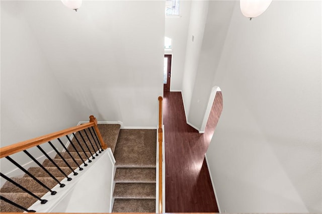 staircase featuring carpet flooring and a high ceiling