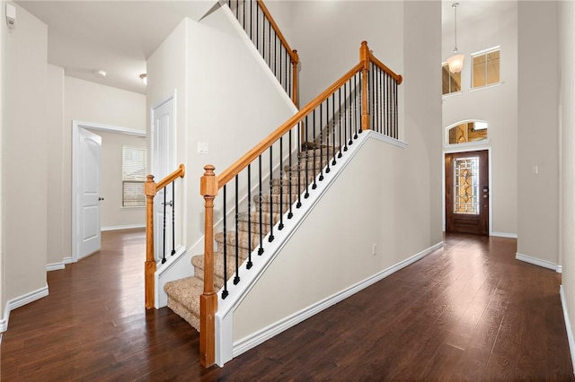 foyer entrance with dark hardwood / wood-style floors, a high ceiling, and a wealth of natural light