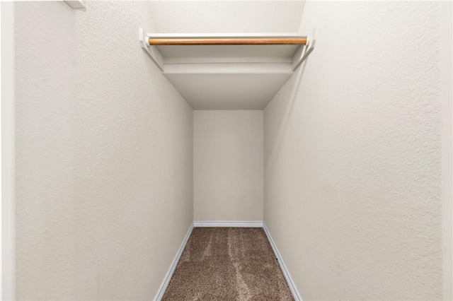 walk in closet with carpet floors