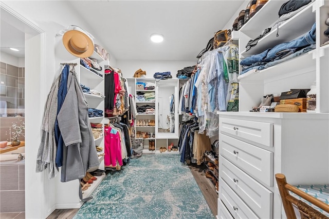 spacious closet featuring light hardwood / wood-style floors