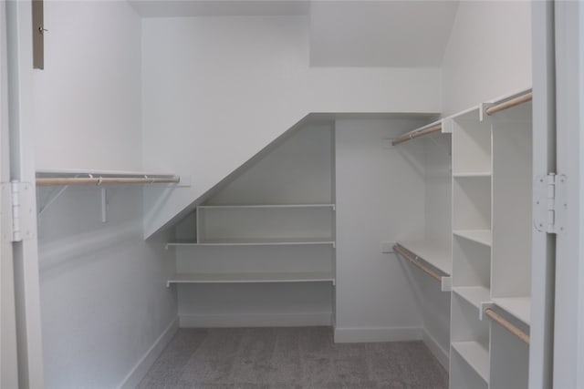 walk in closet featuring dark colored carpet