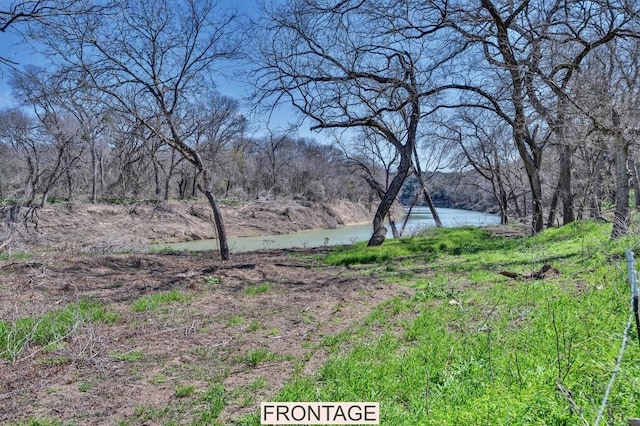 view of yard with a wooded view and a water view