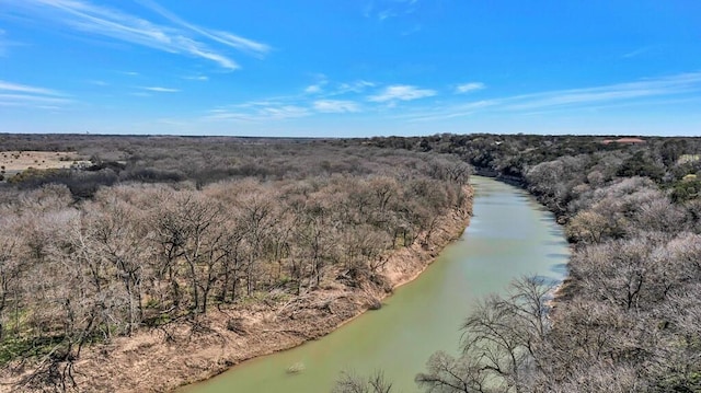 bird's eye view featuring a water view and a wooded view