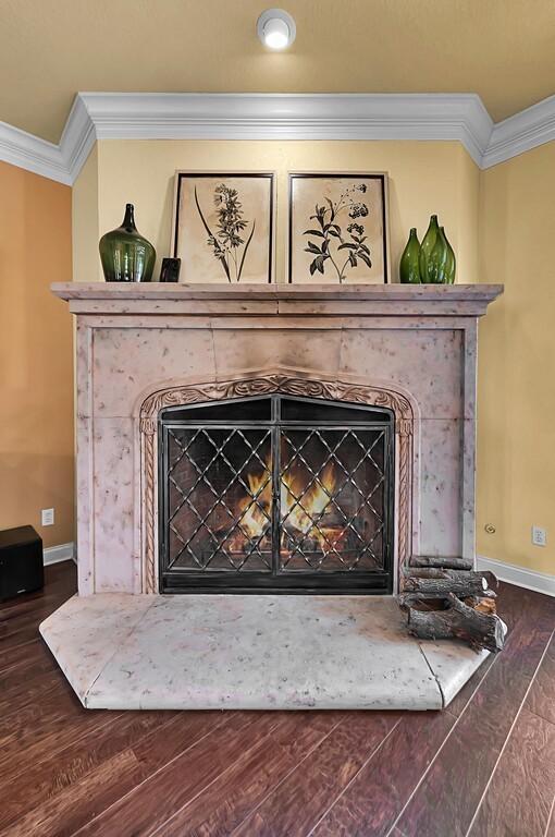 room details featuring a fireplace, wood finished floors, baseboards, and ornamental molding