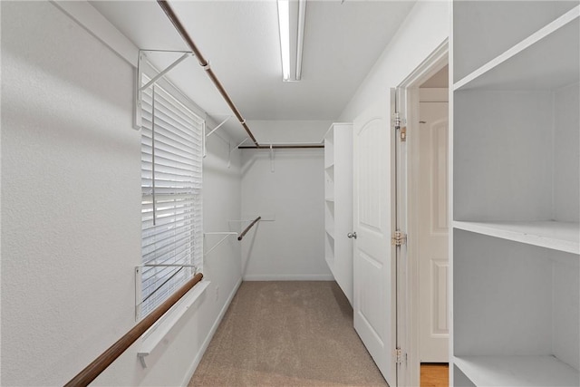 walk in closet with light colored carpet