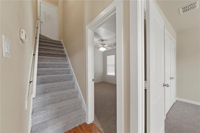 stairs featuring carpet floors and ceiling fan