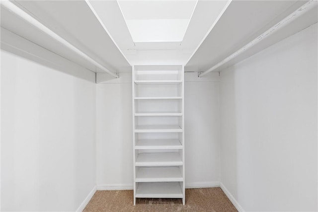 spacious closet with carpet flooring